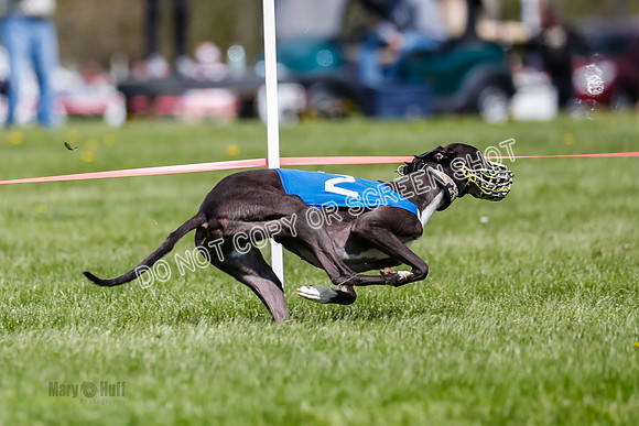 NOTRA Program 2, Race 6, Cinder Stormy Gibbs Shakespeare-2-12