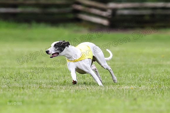 Finals Fch-Vet 1, Huxley Flare-1676