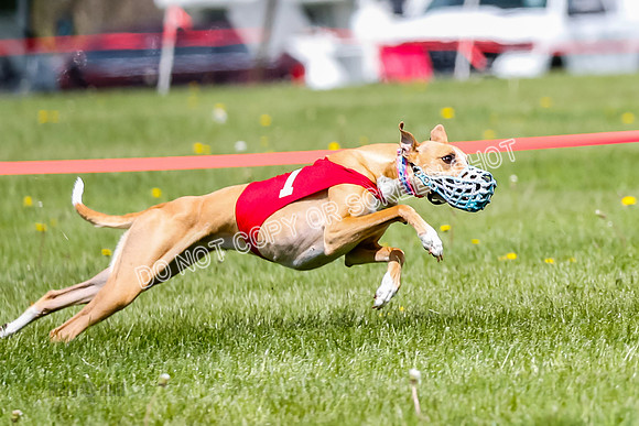 NOTRA Program 2, Race 5, Flora Java Victor Tsunami-2-10