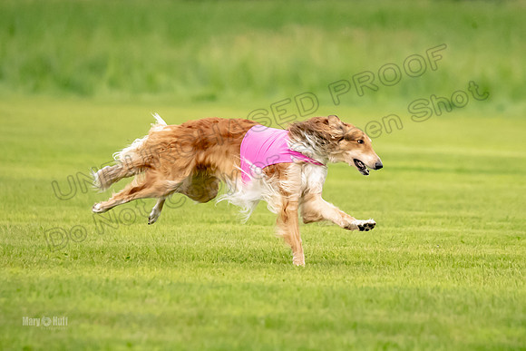 Open Prelim 2, Masquerade Freebie-0524