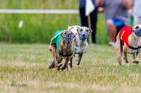 Prg 2, Race 4, Marty, Bogie, Denim, Meatloaf, Blaze, Raz-3-4
