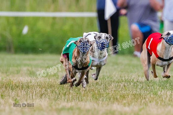 Prg 2, Race 4, Marty, Bogie, Denim, Meatloaf, Blaze, Raz-3-4