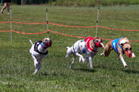 Program 3, Race 4