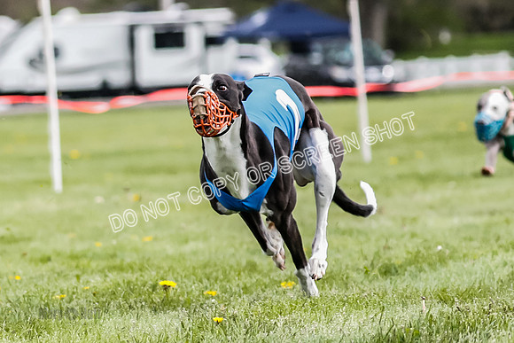 WRA, Prg 1, Race 10, Jamie Pico Nami Elia CC Savvy-8424