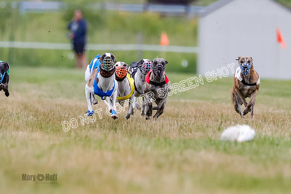 Prg 3, Race 6, Lola-Kraken-Meatloaf-Julian-Valleri-Pandy-1214