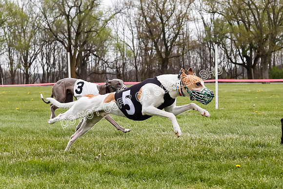 WRA, Prg 4, Race and 7, Voodoo Snacks Java Savvy Entei Henry-9387