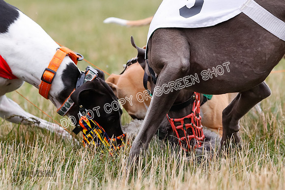 Prg 3, Race 2, Chuck-Tusi-Smokey-Raz-Angel-Nathalia-1077