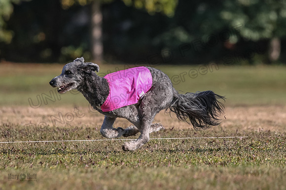 Ellie-4493