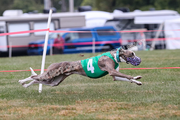 Prg 1, Race 18, Bibi Banshee Thunder Moonstruck-1029