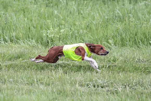 Prelims-8418