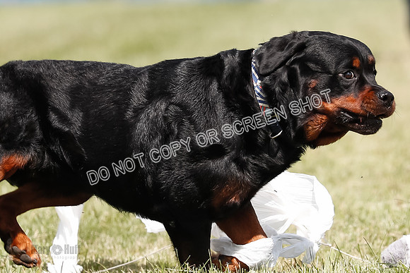 _E4I7836