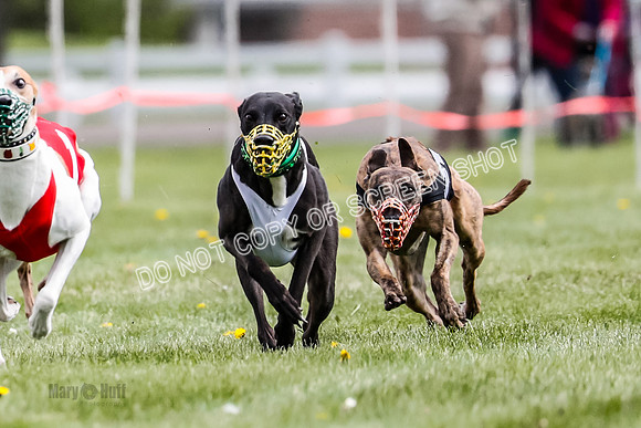 WRA, Prg 1, Race 11, Entei Watson Chernobog Dusty Snacks Riggs-8444