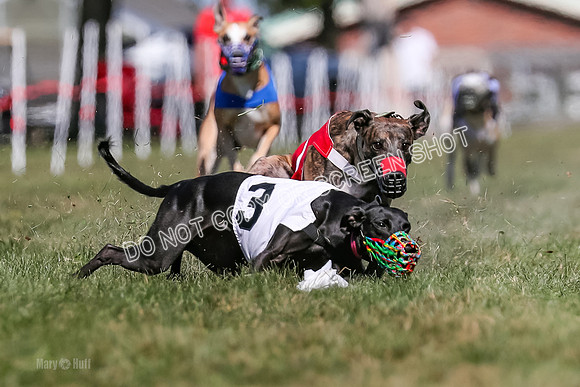 Prg 4, Race 1, Ruffian Flynn Nami Rigby Arrow Echo-0043