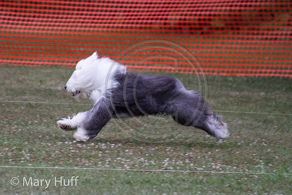 IMG_9587