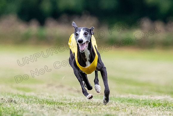AE4I8861