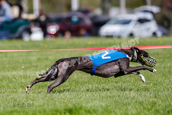 NOTRA Program 2, Race 6, Cinder Stormy Gibbs Shakespeare-2-13
