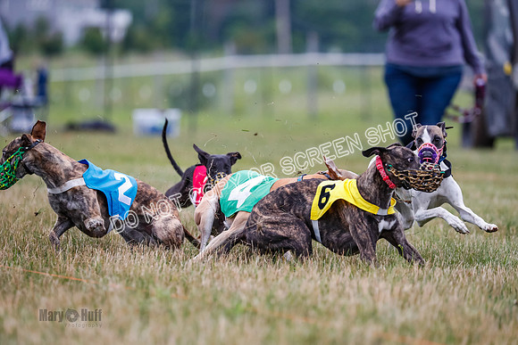 Prg 3, Race 5, Sid-Alex-Zed-Fama-Talim-1188