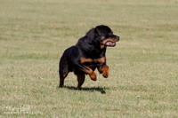 IMG_1686