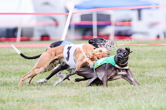 Prg 1, Race 16, Carl Maybe Bookie Sealli-0972