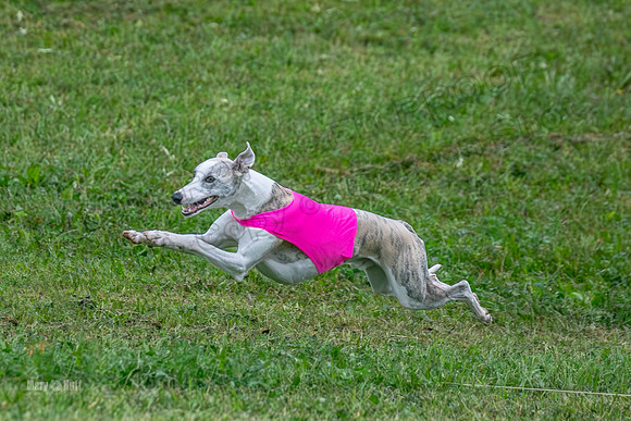 Prelims Open A2, Poppy Mateo Misty-3203