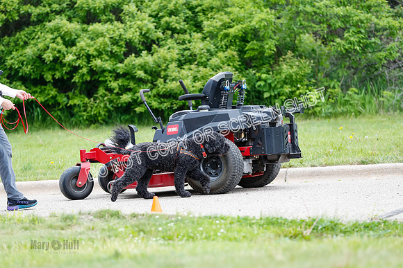 L1 Vehicle-7397