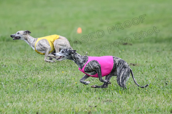 Prelim Open E6, Dazzle Sunshine-9188