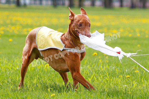 _E4I6204