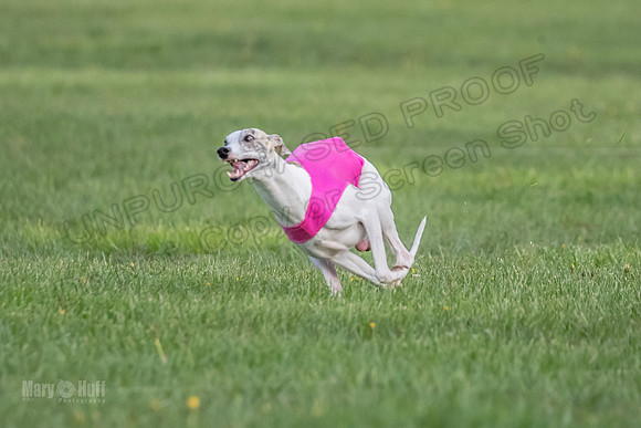 1Prelims Open A2 Delilah ZipIt Kiwi-0120