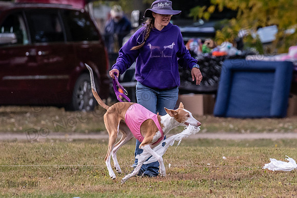 Finals Vet Izzy Thea-3345