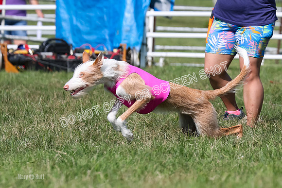 Open Prelim A2, Madyson, Razz-7612