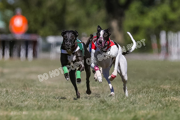 Prg 4, Race 3, Dazzle Margot Cherry Pie Clyps Tahoe-0129