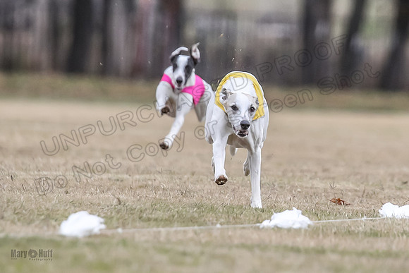 Finals Open 2 Cheese PeteySue Treble-3956