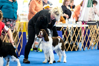 Puppy Dog 9-12