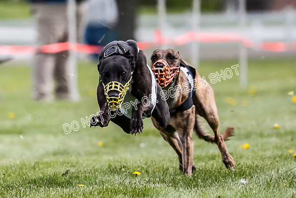 WRA, Prg 1, Race 11, Entei Watson Chernobog Dusty Snacks Riggs-8448