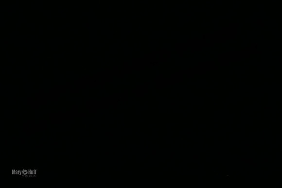 AE4I1543