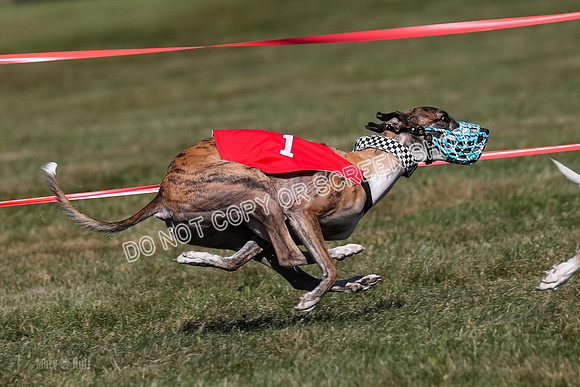 Prg 4, Race 4, Watson Sansa Elia Dusty-2573