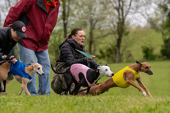 Prelim Open C1, Wrath Ozzy Fia-3879
