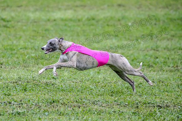 Prelim Open E1, Sid Emoji Bumble-4767