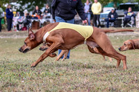 1 Prelims Fch 1 Ace Dakota Remmy-0256
