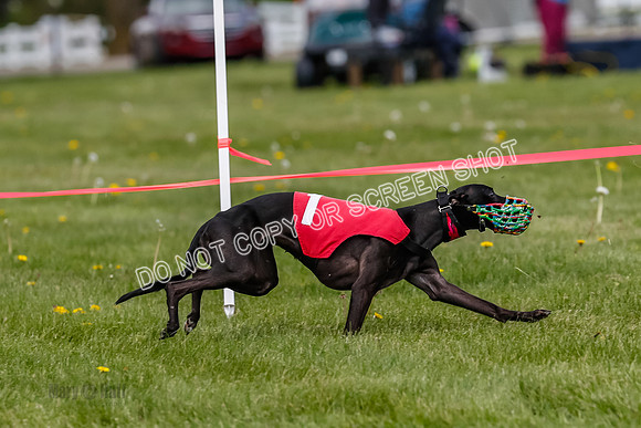 NOTRA Program 3, Race 6, Nami Jamie Sandy Elia-2-12