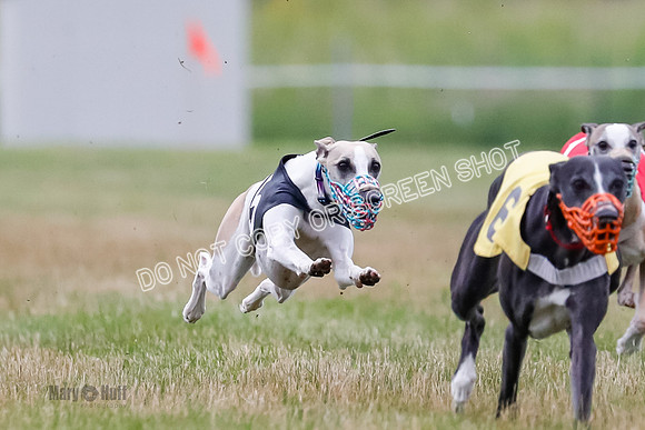 Prg 3, Race 4, Rowan-Jett-Blaze-Shimmy-Bogie-1128