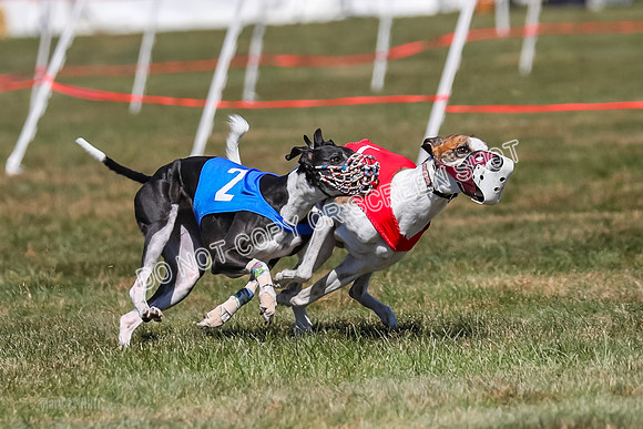 Prg 3, Race 9, Bibi Maybe Nami Rosie-2164