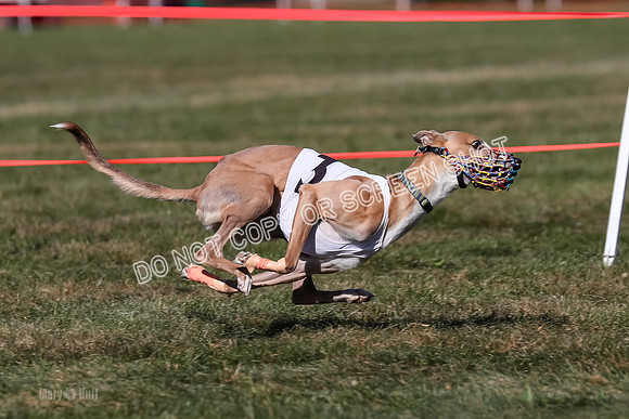Prg 4, Race 5, Steve Tata Micky Barley-2594