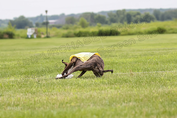 AE4I2163