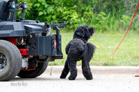 L3 Vehicle-7400