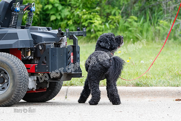 L3 Vehicle-7400
