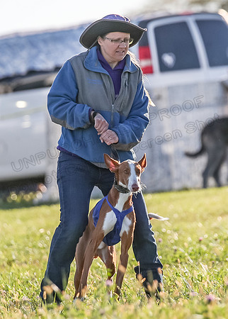 1 Prelims Open 1 Jagger Forrest Maverick-3464