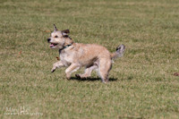 IMG_1559
