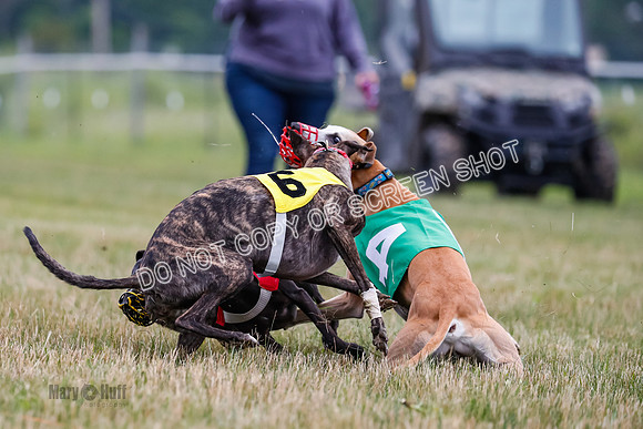 Prg 3, Race 5, Sid-Alex-Zed-Fama-Talim-1195