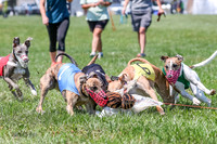 Program 4, Race 4